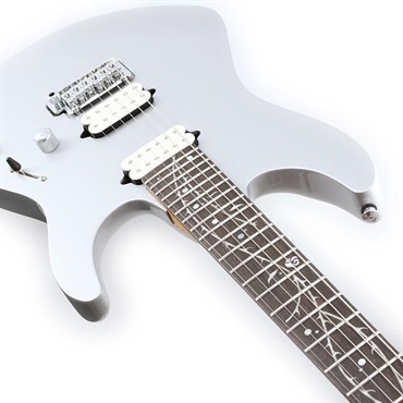 Ibanez TOD10 [Tim Henson Model] 画像4