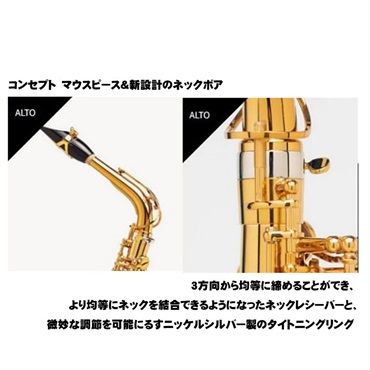 Selmer Paris アルトサックス セルマー Signature シグネチャー DARK SL(ダークシグネチャーラッカー) 【調整&セットアップ後出荷】【5年間キーバランス調整無料】 画像1