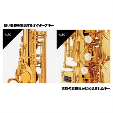 Selmer Paris アルトサックス セルマー Signature シグネチャー DARK SL(ダークシグネチャーラッカー) 【調整&セットアップ後出荷】【5年間キーバランス調整無料】 画像2