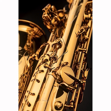 Selmer Paris アルトサックス セルマー Signature シグネチャー DARK SL(ダークシグネチャーラッカー) 【調整&セットアップ後出荷】【5年間キーバランス調整無料】 画像5