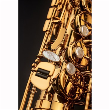 Selmer Paris アルトサックス セルマー Signature シグネチャー DARK SL(ダークシグネチャーラッカー) 【調整&セットアップ後出荷】【5年間キーバランス調整無料】 画像6