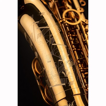 Selmer Paris アルトサックス セルマー Signature シグネチャー DARK SL(ダークシグネチャーラッカー) 【調整&セットアップ後出荷】【5年間キーバランス調整無料】 画像9