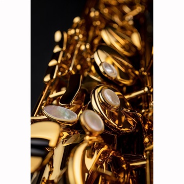 Selmer Paris テナーサックス セルマー Signature シグネチャー DARK SL(ダークシグネチャーラッカー) 【調整&セットアップ後出荷】【5年間キーバランス調整無料】 画像7