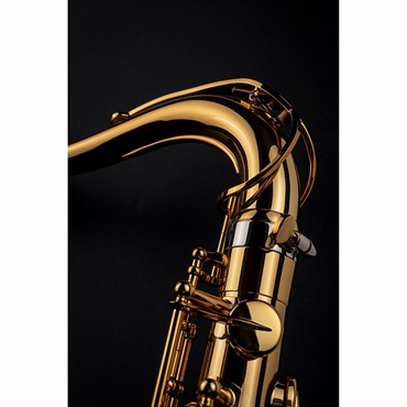 Selmer Paris テナーサックス セルマー Signature シグネチャー DARK SL(ダークシグネチャーラッカー) 【調整&セットアップ後出荷】【5年間キーバランス調整無料】 画像8