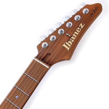 Ibanez TQM1-NT [Tom Quayle AZ Signature Model] SN.F2327180 画像8