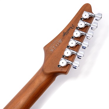 Ibanez TQM1-NT [Tom Quayle AZ Signature Model] SN.F2327180 画像9