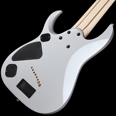Ibanez Axe Design Lab RGDMS8-CSM 画像5