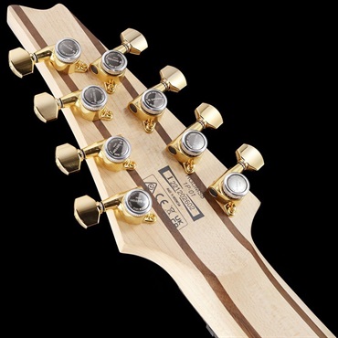 Ibanez Axe Design Lab RGDMS8-CSM 画像7