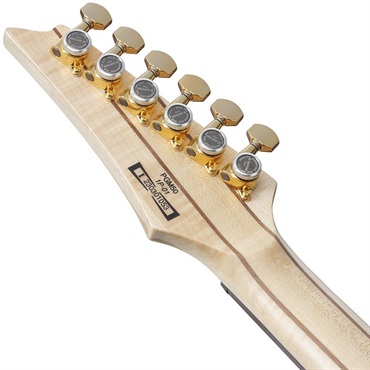 Ibanez PGM50-BK [Paul Gilbert Signature Model] 画像5