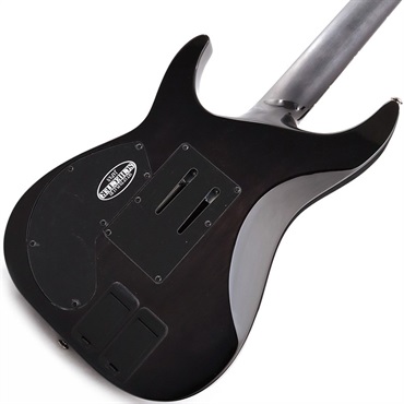 SCHECTER HELLRAISER HYBRID C-1 FR SUSTINIAC [AD-C-1-FR-HR-HB/SN] (TBB) 【旧定価お買い得プライス】 画像5