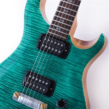 P.R.S. SE Paul's Guitar (Turquoise) 画像3