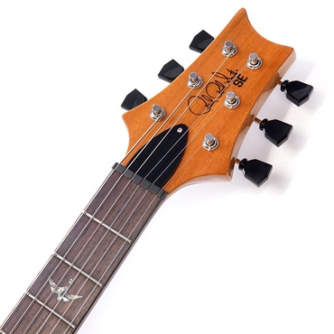 P.R.S. SE Paul's Guitar (Turquoise) 画像8