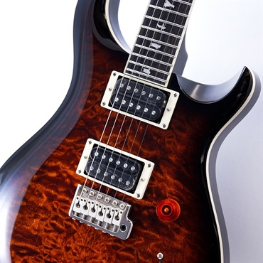 P.R.S. SE Custom 24 Quilt (Black Gold Burst) 画像3