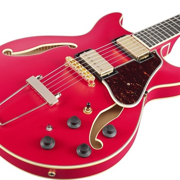 Ibanez Artcore Expressionist AMH90-CRF 【特価】 画像2