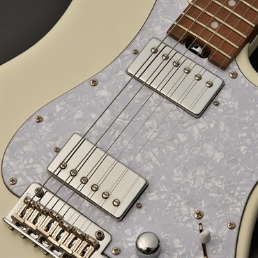 Bacchus Global SERIES GIN-FORCE/RSM (OWH) [Marco Model] 画像2