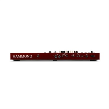 HAMMOND M-solo BUR 画像2