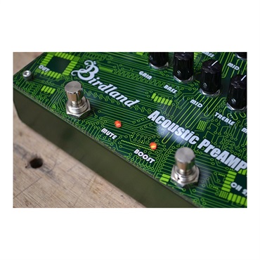 Birdland Birdland Acoustic Preamp 3 バードランド 画像3