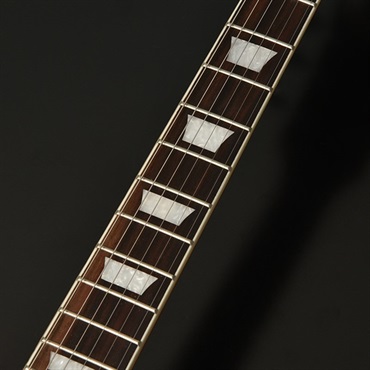 Bacchus Universe Series BLP-FMH/R (HB) 画像1