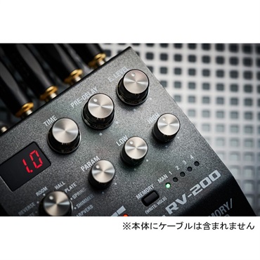 BOSS RV-200 リバーブ ボス 画像5