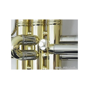 その他ブランド(管楽器・吹奏楽器) Seibold ザイボルト / TSE ピストン バルブ用 1519 画像1