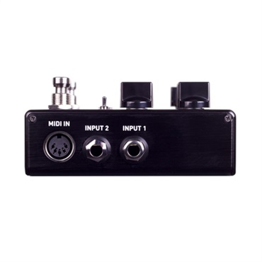 SOURCE AUDIO NEMESIS DELAY ADT（ソースオーディオ）ディレイ 画像1