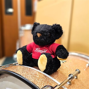 BONNEY DRUM JAPAN BOP Jazz Drum Set - Pink Soda [BD18，FT14，TT12]【石若 駿プロデュース】 画像5