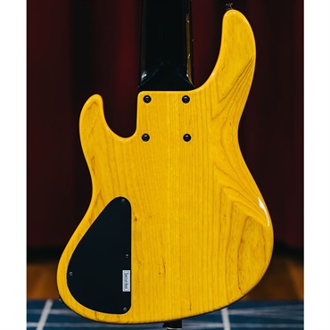 ATELIER Z 【入荷待ち、ご予約受付中】 Beta6 MT Custom [Mutsumi Signature] 画像3