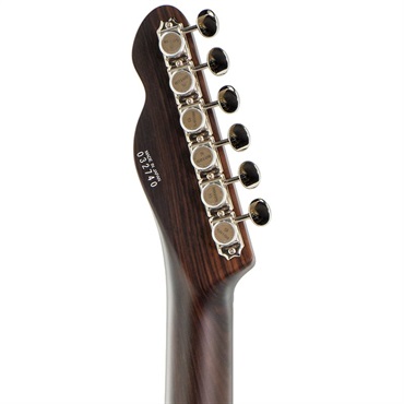 T’s Guitars TL-22 Rose Neck 【Weight≒3.71kg】 画像4