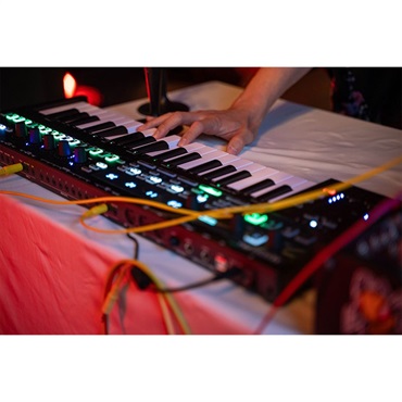 Arturia KEYSTEP PRO CHROMA(限定カラー・グレー)【37鍵盤】 画像6