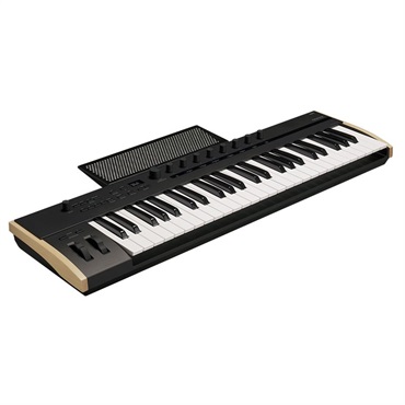 KORG KEYSTAGE-49(USB・MIDIコントローラー)(コルグ) 画像3