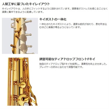 YAMAHA テナーサックス ヤマハ YTS-82ZA 【調整&セットアップ後出荷】【5年間キーバランス調整無料】【演奏＆お手入れに必要なもの全て付いてます】 画像6