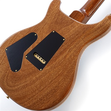 P.R.S. Custom24-08 10top (Carrol Blue) #0369486 画像7