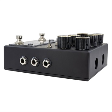 WALRUS AUDIO MERAKI ANALOG DELAY Blacked Out Limited Edition（ウォルラスオーディオ）ディレイ 画像1