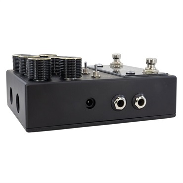 WALRUS AUDIO MERAKI ANALOG DELAY Blacked Out Limited Edition（ウォルラスオーディオ）ディレイ 画像3