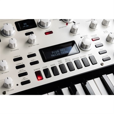 KORG KingKORG NEO 画像7
