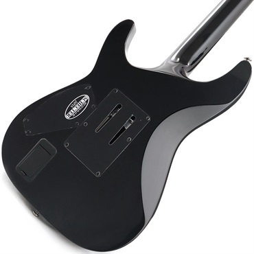 SCHECTER C-1 FR Hellraiser [AD-C-1-FR-HR] (BLK) 画像5