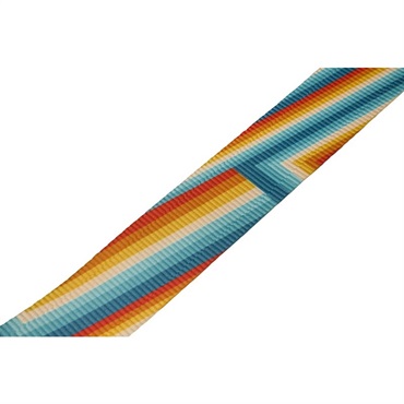 Fender USA Retro Rainbow Strap[#0990637212] 画像2