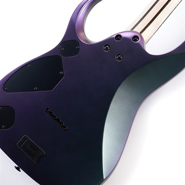 Ibanez Prestige RGD3121-PRF [SPOT MODEL] 【特価】 画像7