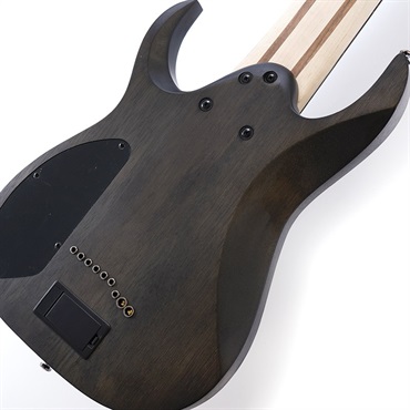Ibanez Axe Design Lab RG9PB-TGF 画像7