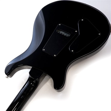 P.R.S. S2 10th Anniversary Custom 24 (Black Amber) SN.S2069353 画像6