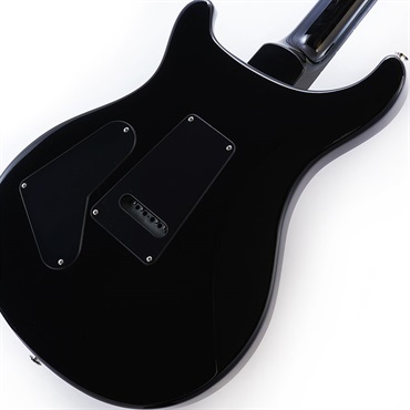P.R.S. S2 10th Anniversary Custom 24 (Black Amber) SN.S2069353 画像7