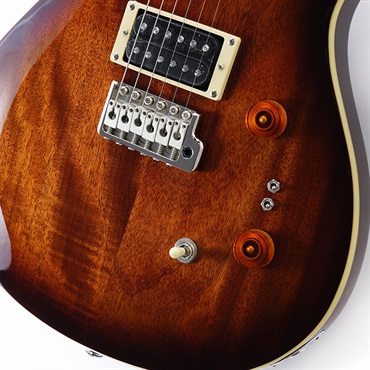 P.R.S. SE Standard 24-08(Tobacco Sunburst ) 画像4