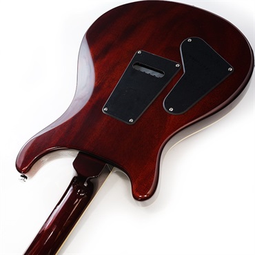 P.R.S. SE Standard 24-08(Tobacco Sunburst ) 画像6
