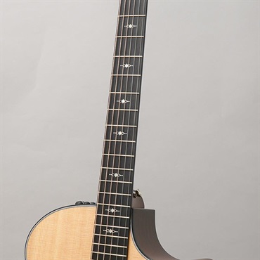 TAYLOR 314ce V-Class テイラー 画像8