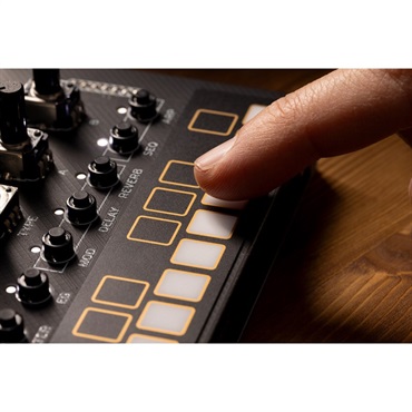 KORG 【夏先取り大特価セール】NTS-1 digital kit mkII 画像5