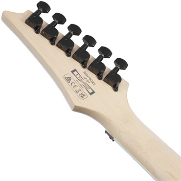 Ibanez RG470DX-TMN [SPOT MODEL] 画像5