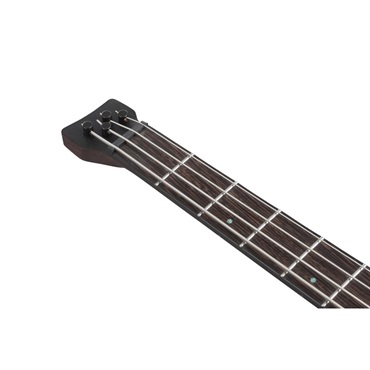 Ibanez EHB1500-CTF [SPOT MODEL] 画像4