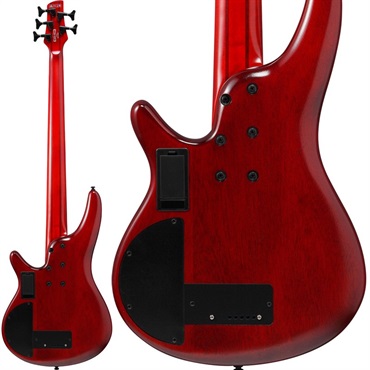 Ibanez Bass Workshop SRD905F-BTL 画像1