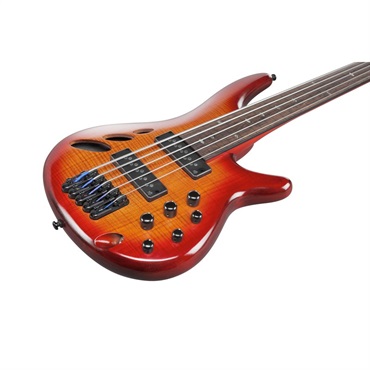 Ibanez Bass Workshop SRD905F-BTL 画像2