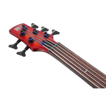 Ibanez Bass Workshop SRD905F-BTL 画像4